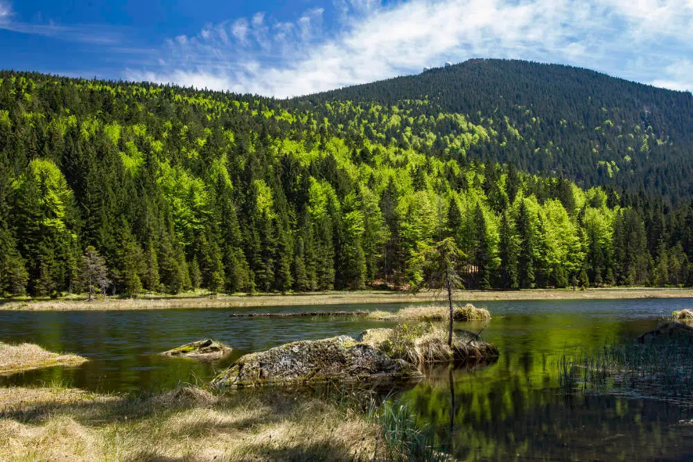 Kleiner Arbersee_TI-Lam (1)